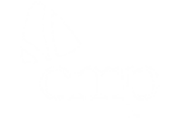 Leading with Purpose